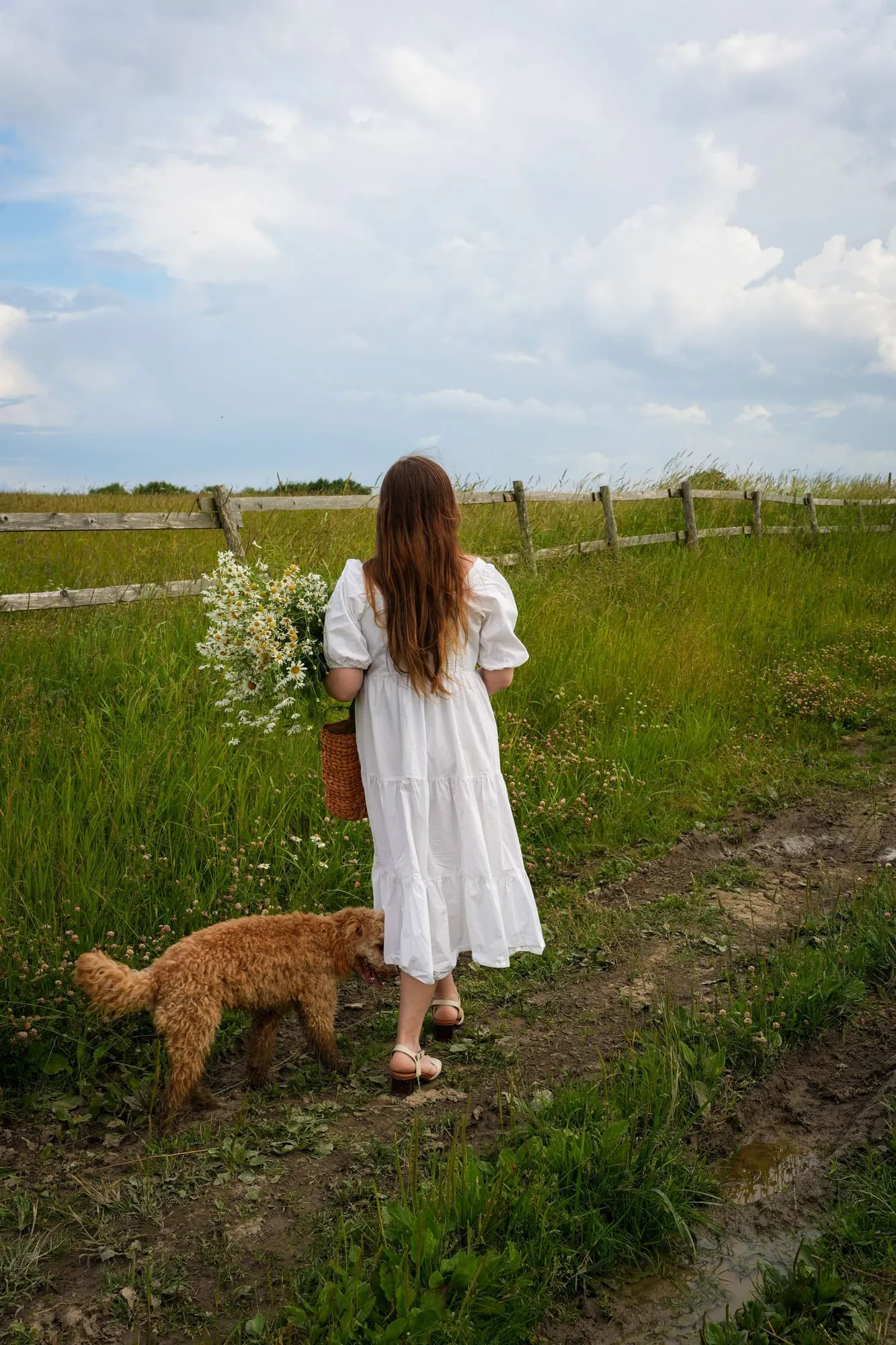 Frau in weißem Kleid mit Hund von hinten auf einem Feldweg